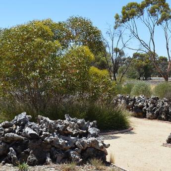 Manangatang Mallee Garden Stump Garden